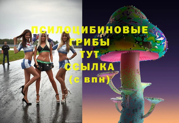 каннабис Весьегонск