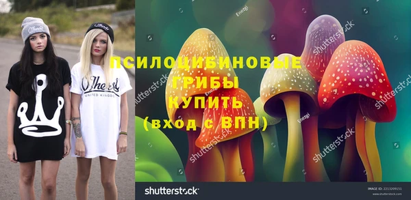 2c-b Алексин