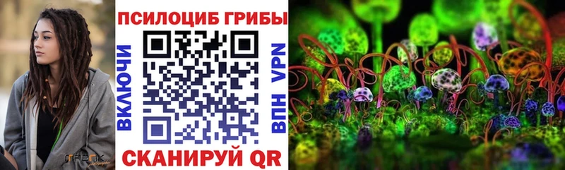 Галлюциногенные грибы MAGIC MUSHROOMS  Куртамыш 